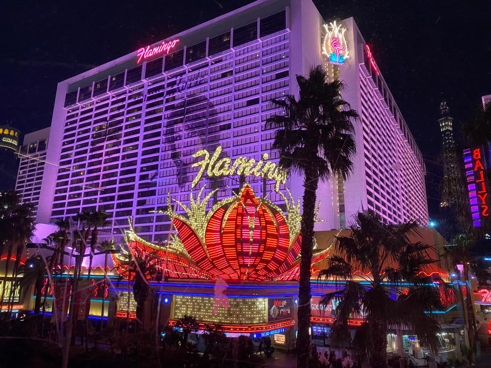 Expat Life Blog Las Vegas - Tourist Ultimate Guide 2021 photo of Flamingo Casinos and Hotel 2020