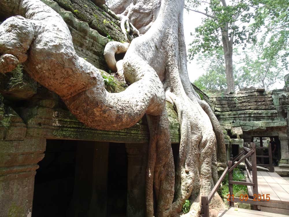 2015 09 21 Angkor Wat - Siem Reap - Cambondia - 06 (Indiana Jones)